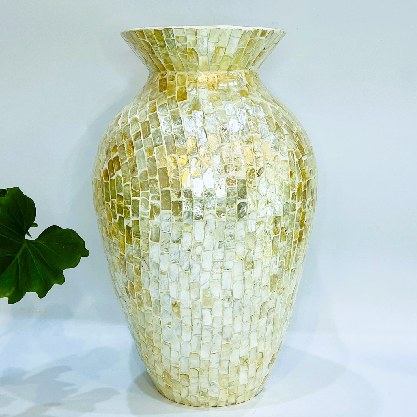 Mussel Vase - White